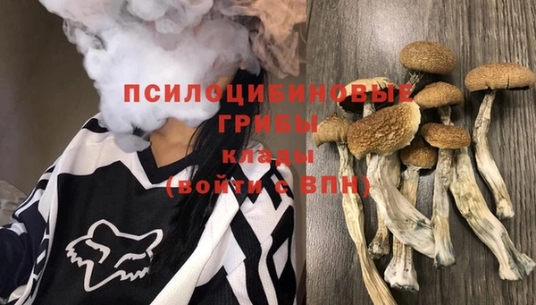 каннабис Баксан