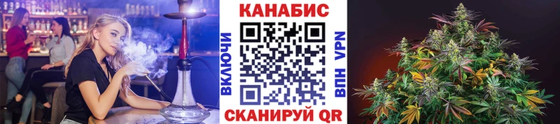 хочу наркоту  Беломорск  Каннабис OG Kush 